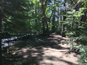 ガリーナ公園で里山散策 ③ White Creek Trail at Galena Creek Reginal Park